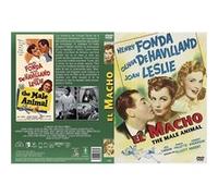 Si Adam avait su… (1942) / The Male Animal (Cine Club) (DVD) G