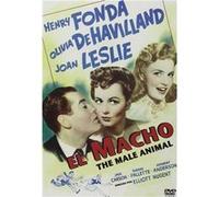 Si Adam avait su… (1942) / The Male Animal G