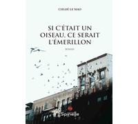 Si c’était un oiseau, ce serait l’émerillon
