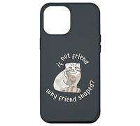 Si ce n'est Pas Un ami, Pourquoi Un ami en Forme ? Pallas Cat Fren Coque pour iPhone 12 Pro Max