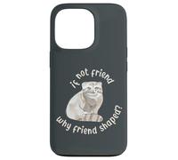 Si ce n'est Pas Un ami, Pourquoi Un ami en Forme ? Pallas Cat Fren Coque pour iPhone 13 Pro