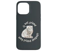 Si ce n'est Pas Un ami, Pourquoi Un ami en Forme ? Pallas Cat Fren Coque pour iPhone 13 Pro Max