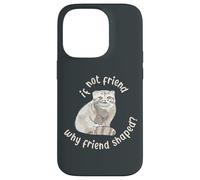 Si ce n'est Pas Un ami, Pourquoi Un ami en Forme ? Pallas Cat Fren Coque pour iPhone 14 Pro