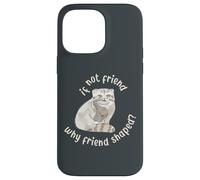 Si ce n'est Pas Un ami, Pourquoi Un ami en Forme ? Pallas Cat Fren Coque pour iPhone 14 Pro Max