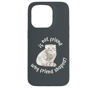 Si ce n'est Pas Un ami, Pourquoi Un ami en Forme ? Pallas Cat Fren Coque pour iPhone 15 Pro