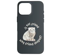 Si ce n'est Pas Un ami, Pourquoi Un ami en Forme ? Pallas Cat Fren Coque pour iPhone 16 Pro Max