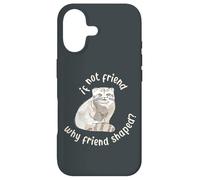 Si ce n'est Pas Un ami, Pourquoi Un ami en Forme ? Pallas Cat Fren Coque pour iPhone 17
