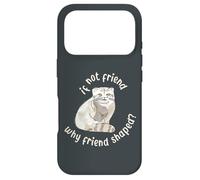 Si ce n'est Pas Un ami, Pourquoi Un ami en Forme ? Pallas Cat Fren Coque pour iPhone 17 Pro