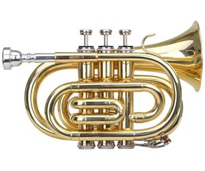 Si Ergonomique Trompete de Poche Pocket Laiton avec Etui Rigide Embouchure