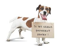 « Si les chiens pouvaient parler ! » - Livret humoristique, pour les amoureux des chiens !: Livre photos de chiens et chiots, drôles et mignons, et leurs citations comiques, pour adultes et enfants