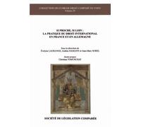 Si proche, si loin : la pratique du droit international en france et en allemagn Christian Tomuschat (Préface), Evelyne Lagrange (Direction), Andrea Hamann (Direction), Jean-Marc Sorel (Direction), LA
