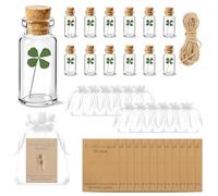 SI SEN Lot de 12 petits cadeaux : véritable trèfle à quatre feuilles dans un verre + carte de vœux + sac en gaze + corde de chanvre | Cadeau porte-bonheur pour Noël, anniversaire et mariage