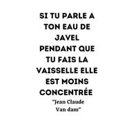 Si tu parles à ton eau de Javel pendant que tu fais la vaisselle, elle est moins concentrée: jean Claude van Damme citation du célèbre acteur de ... un carnet de note 120 pages pour les fans hom