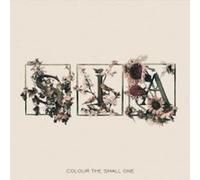 SIA "COLOUR OF THE SMALL" CD NEW