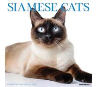 Siamese Cats 2026 12 X 12 Wall Calendar