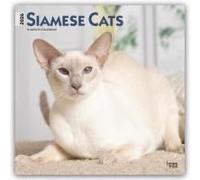 Siamese Cats 2026 Square Flap Calendar Calendar Book