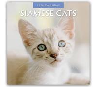 Siamese Cats 2026 Square Wall Calendar