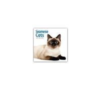 Siamese Cats - Siamesische Katzen - Siamkatzen 2026 - Wand-Kalender