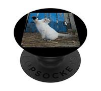 Siamix Cat Yurara _001 Perforatrice pour chat PopSockets PopGrip Adhésif