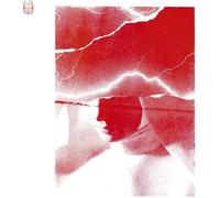 Siamo Tutti in Pericolo