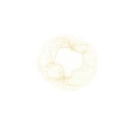Sibel Filet Chignon Blond 12 X 2 Pcs