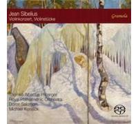 Sibelius Violin Concerto