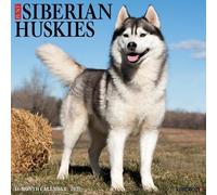Willow Creek Press, Just Siberian Huskies Calendrier mural 2027