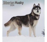 Siberian Husky Calendar 2024 Square Dog Breed Wall Calendar 16 Month Siberian Husky Calendar 2024 Square Dog Breed Wall Calendar 16 Month (Auteur)