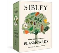 Sibley Tree Identification Flashcards by David Allen Sibley David Allen Sibley (Auteur)