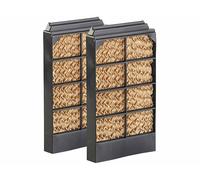 2 filtres de rechange pour rafraîchisseur dair LW-420.w [Sichler Haushaltsgeräte]