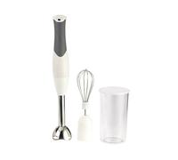 Sichler Haushaltsgeräte Mixeur plongeur sans fil en acier inoxydable