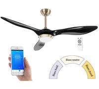 Sichler Haushaltsgeräte Ventilateur de plafond connecté avec lampe LED 1000 lm