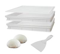 Sicignano - Boîte de rangement avec couvercle, 60 x 40 x 10 h cm, résistante, empilable, lavable, - Boîte à pâte, à pizza - Pizzeria, cuisine (2 cassettes + spatule)