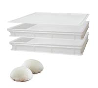 Sicignano - Boîte de rangement avec couvercle, 60 x 40 x 10 h cm, résistante, empilable, lavable - Boîte à pâtes, Levure Pizza Pain - Pizzeria, Cuisine (2 cassettes)