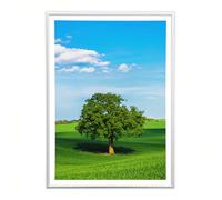 Sicignano Cadre bombé moderne 35 x 50 cm en bois blanc avec panneau MDF robuste verre Crilex - Cadre photo mural horizontal vertical pour photos tableaux affiches documents diplômés