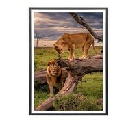 Sicignano Cadre bombé moderne 70 x 100 cm en bois noir avec panneau MDF robuste verre Crilex - Cadre photo mural horizontal vertical pour photos tableaux affiches documents diplômés