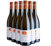 Sicile Viviri Grillo - Blanc 2023 - Tenuta Rapitala - Vin Blanc d'Italie (6x75cl) BIO
