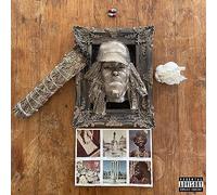 Earl Sweatshirt – SICK – Vinyle 12"
