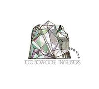 Sickafoose, Todd - Tiny Resistors [Import]
