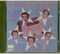 Sid King & His Five Strokes - Rockin' on the Radio