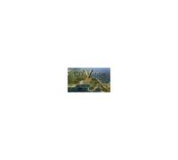 Sid Meier's Civilization V (Civilization 5) Pc