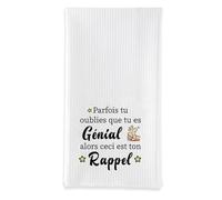 sidaopiu Cadeau Inspirant Motivation Femme Homme, Cadeaux D'inspiration pour Maman Papa Amie Soeur Tata Collègue Maitresse Noel, Idée Cadeau Inspirantes Torchons de Cuisine,Deco Cuisine,Essuie Main