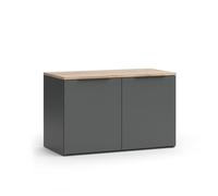 Vicco Sideboard Wido, 80x50cm avec 2 portes, Anthracite/Sonoma