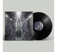 Sideral - I Give You