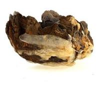 Siderite + Quartz. 3358.5 Ct. Vizille, Isère, France.