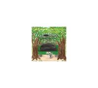 Sidney And The Traveling Tree Explores Maine, Book Two