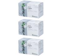 Sidroga® Ceylan Thé 3x1,7 g