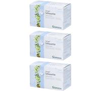 Sidroga® Silhouette Thé 3x2 g