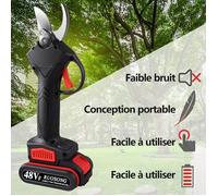 Siebwin 48VF Secateur Electrique Professionnel, Sécateur Électrique sans Fil pour Branches d'arbres à Fruits, 2 Batteries, 5 à[1]