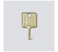 Siedle 210007018-00 SIED Clé de rechange pour module d'information IM 511-0 Acier inoxydable